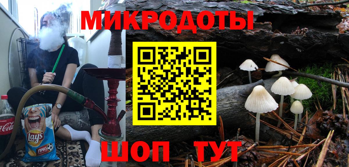 Псилоцибиновые грибы мицелий Тула