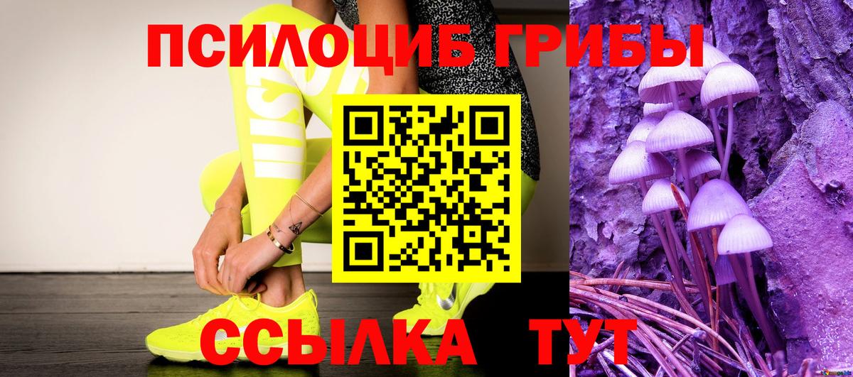 Галлюциногенные грибы GOLDEN TEACHER  Вход с VPN  Тула  Псилоцибиновые грибы Magic Shrooms 